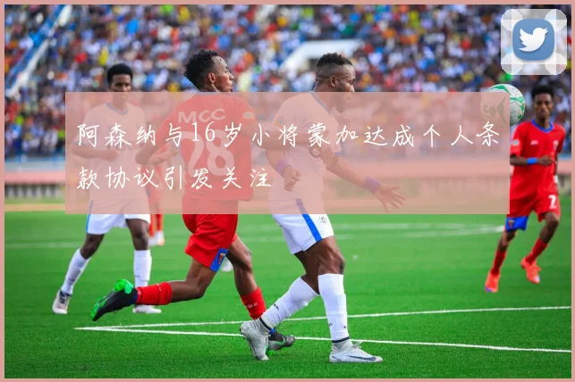阿森纳与16岁小将蒙加达成个人条款协议引发关注